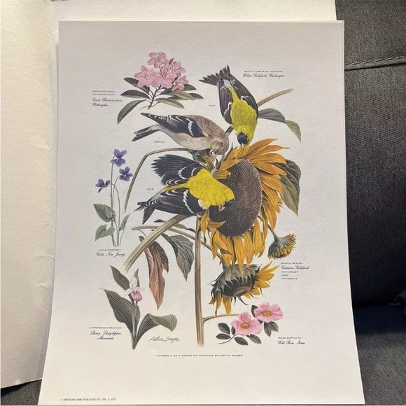 Vintage Arthur Singer Bird Prints Set Of 8 - Picture 8 of 13